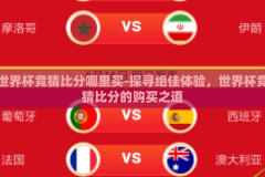 世界杯竞猜比分哪里买-探寻绝佳体验，世界杯竞猜比分的购买之道