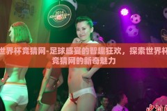 世界杯竞猜网-足球盛宴的智趣狂欢，探索世界杯竞猜网的新奇魅力
