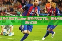 世界杯竞猜下注app-世界杯竞猜下注，理性与乐趣的交织