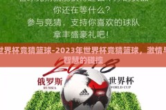 世界杯竞猜篮球-2023年世界杯竞猜篮球，激情与智慧的碰撞