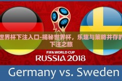 世界杯下注入口-揭秘世界杯，乐趣与策略并存的下注之旅