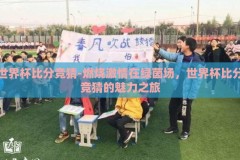 世界杯比分竞猜-燃烧激情在绿茵场，世界杯比分竞猜的魅力之旅