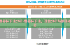 世界杯下注分析-世界杯下注，理性分析与策略迷思