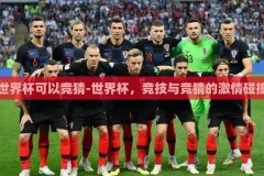 世界杯可以竞猜-世界杯，竞技与竞猜的激情碰撞