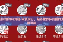 足彩世界杯竞猜-双轨前行，足彩世界杯竞猜的无限可能