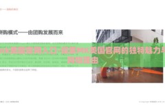 mk美国官网入口-探索MK美国官网的独特魅力与购物理由