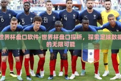 世界杯盘口软件-世界杯盘口探析，探索足球数据的无限可能