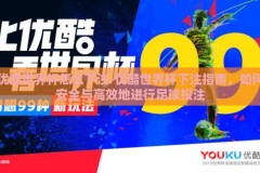 优酷世界杯怎么下注-优酷世界杯下注指南，如何安全与高效地进行足球投注