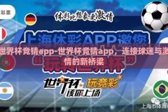 世界杯竞猜app-世界杯竞猜app，连接球迷与激情的新桥梁