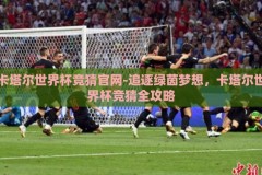 卡塔尔世界杯竞猜官网-追逐绿茵梦想，卡塔尔世界杯竞猜全攻略