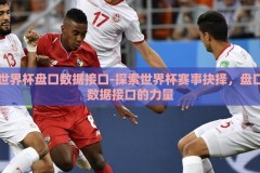 世界杯盘口数据接口-探索世界杯赛事抉择，盘口数据接口的力量