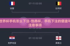 世界杯手机怎么下注-世界杯，手机下注的便捷与注意事项