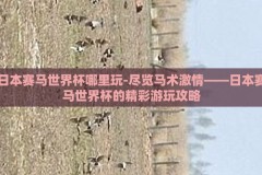 日本赛马世界杯哪里玩-尽览马术激情——日本赛马世界杯的精彩游玩攻略