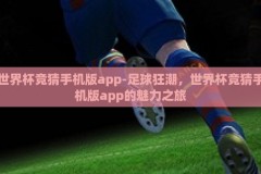 世界杯竞猜手机版app-足球狂潮，世界杯竞猜手机版app的魅力之旅
