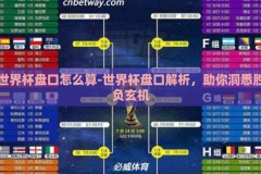 世界杯盘口怎么算-世界杯盘口解析，助你洞悉胜负玄机