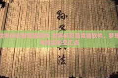世界杯彩票竞猜软件-世界杯彩票竞猜软件，梦想与现实的交汇点