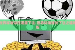 世界杯赌球在哪里下注-世界杯赌球的下注之道解析