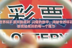 世界杯彩票竞猜规则-闪耀的数字，揭秘世界杯彩票竞猜规则的每一个细节