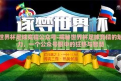 世界杯足球竞猜公众号-揭秘世界杯足球竞猜的魅力，一个公众号眼中的狂热与智慧