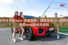 世界杯竞猜wey-点燃激情，展望未来——世界杯竞猜wey的非凡体验