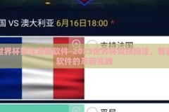 世界杯投注竞猜软件-2023世界杯竞技投注，智能软件的革新实践
