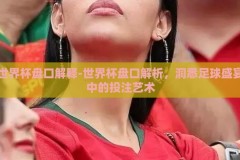 世界杯盘口解释-世界杯盘口解析，洞悉足球盛宴中的投注艺术