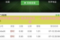 世界杯盘口回顾-世界杯风云，一场盛宴的盘口回顾