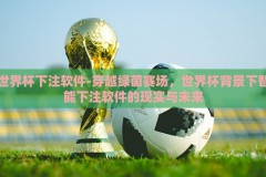 世界杯下注软件-穿越绿茵赛场，世界杯背景下智能下注软件的现实与未来