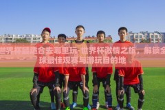 世界杯最适合去哪里玩-世界杯激情之旅，解锁全球最佳观赛与游玩目的地