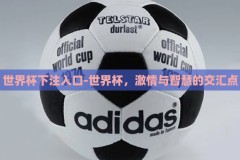 世界杯下注入口-世界杯，激情与智慧的交汇点