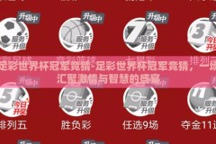 足彩世界杯冠军竞猜-足彩世界杯冠军竞猜，一场汇聚激情与智慧的盛宴