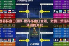 世界杯盘口回顾-世界杯盘口全景，激情、策略与预测的交织
