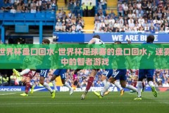 世界杯盘口回水-世界杯足球赛的盘口回水，迷雾中的智者游戏