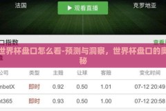 世界杯盘口怎么看-预测与洞察，世界杯盘口的奥秘