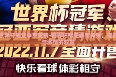 世界杯冠亚季军竞猜-世界杯冠亚季军竞猜，理智与激情的较量