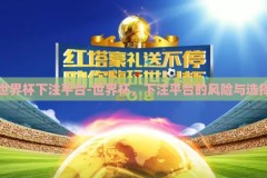 世界杯下注平台-世界杯，下注平台的风险与选择