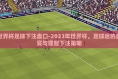 世界杯足球下注盘口-2023年世界杯，足球迷的盛宴与理智下注策略