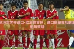 欧洲世界杯盘口-欧洲世界杯，盘口揭秘背后的激动与策略
