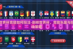 世界杯竞猜如何投注-别样世界杯，竞猜乐趣与投注策略