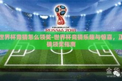 世界杯竞猜怎么领奖-世界杯竞猜乐趣与惊喜，正确领奖指南