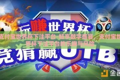 支付宝世界杯下注平台-畅享数字盛宴，支付宝世界杯下注平台的乐趣与风险