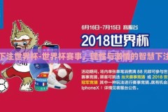 下注世界杯-世界杯赛事，理性与激情的智慧下注