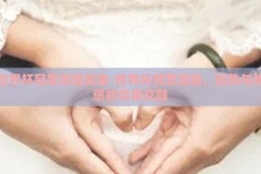 世界杯冠军竞猜奖金-世界杯冠军竞猜，狂热与奖惩的完美交融