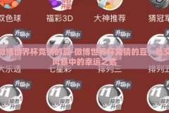 微博世界杯竞猜的豆-微博世界杯竞猜的豆，社交风暴中的幸运之匙
