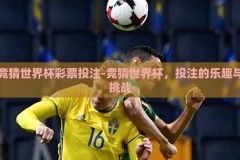 竞猜世界杯彩票投注-竞猜世界杯，投注的乐趣与挑战