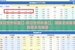 韩日世界杯盘口-韩日世界杯盘口，揭秘足球赛事的悬念与奇迹