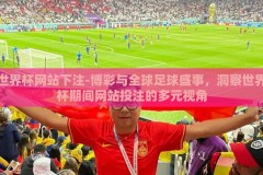 世界杯网站下注-博彩与全球足球盛事，洞察世界杯期间网站投注的多元视角