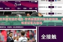 世界杯竞猜的平台-世界杯竞猜的娱乐新阵地，多维度探索与体验