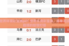 世界杯竞彩宝典pdf-世界杯竞彩宝典，揭秘足球胜境的智慧灯塔