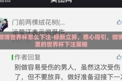 微博世界杯怎么下注-标新立异，悉心指引，微博里的世界杯下注策略